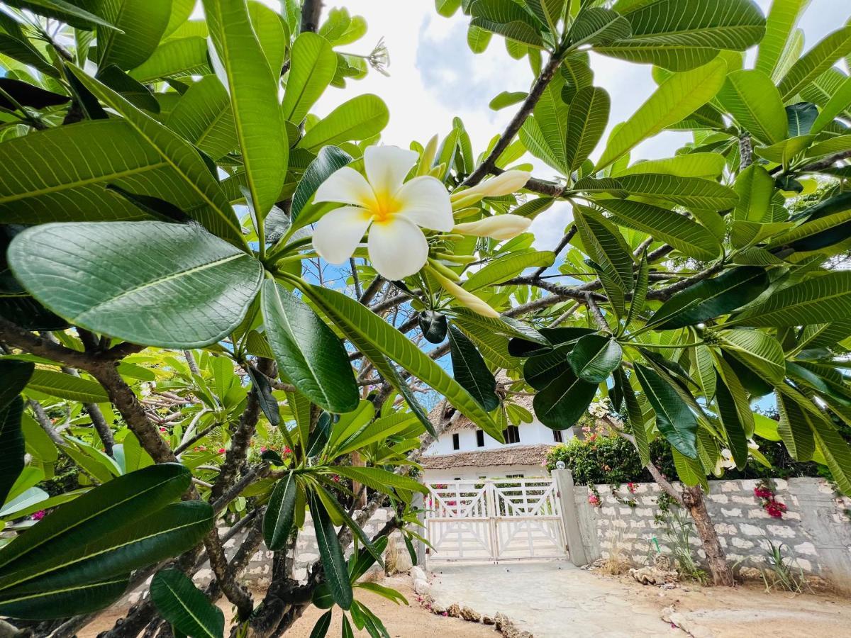 Beba.Beach.House Watamu Ngoại thất bức ảnh